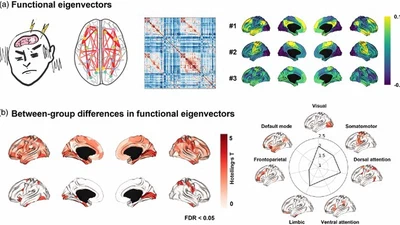 Whole-Brain Functional Gradients in Migraine featured image