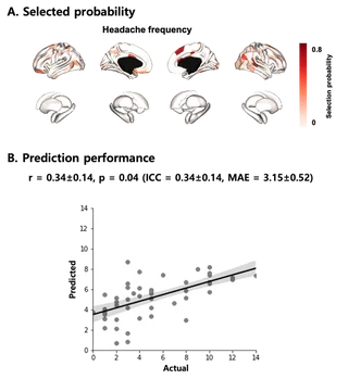 Selected feature probability and prediction performance for headache frequency