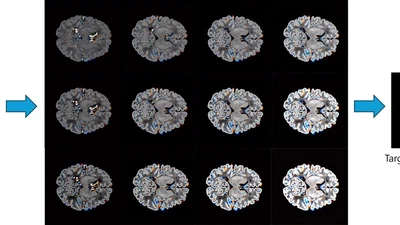 Cross-Modality Neonatal Brain Image Conversion with Latent Diffusion featured image